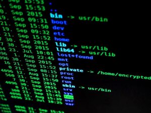 Read more about the article Which Linux Distribution Should You Start With?