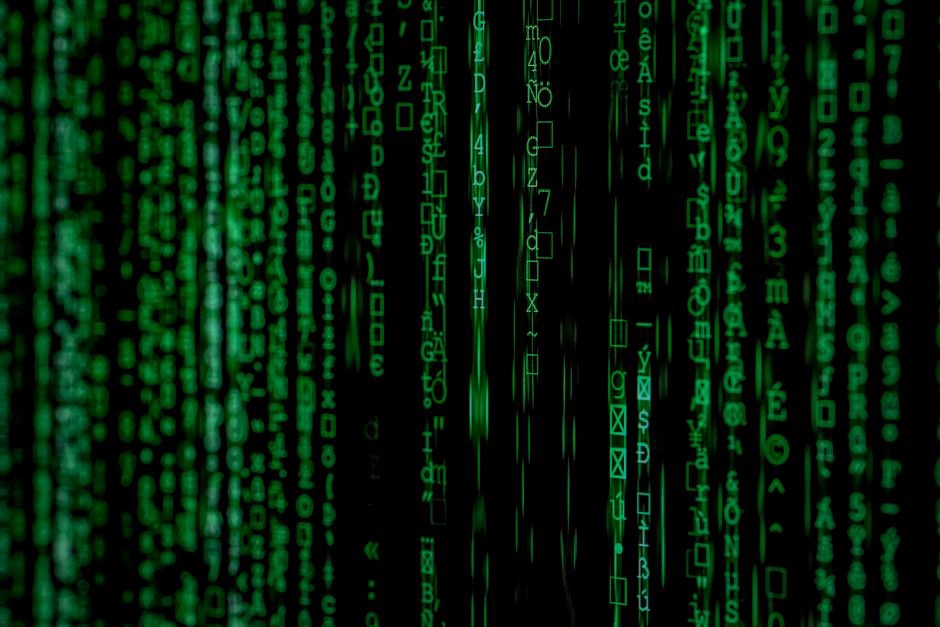 Read more about the article Encryption Basics: Keys, Data States, and Safer Practices