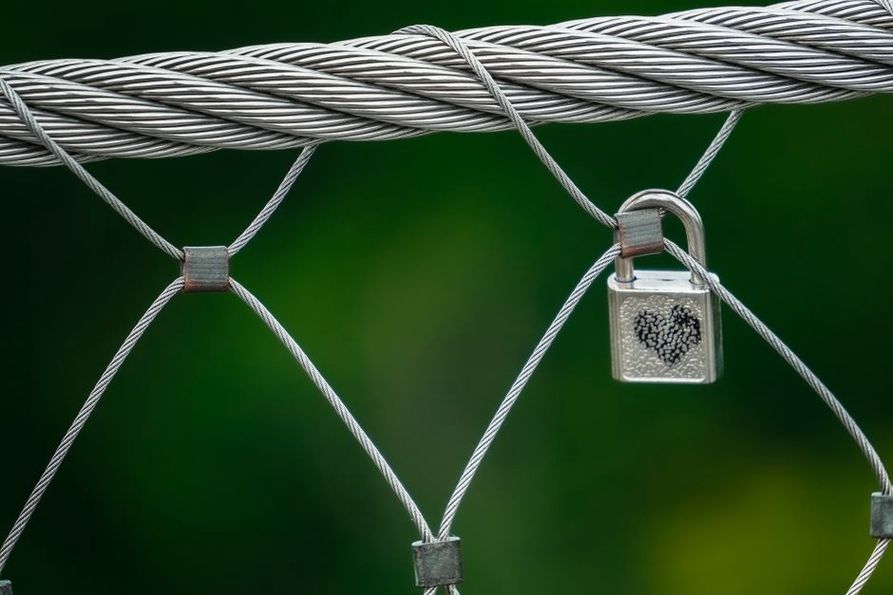 Secure browser connection protected by TLS