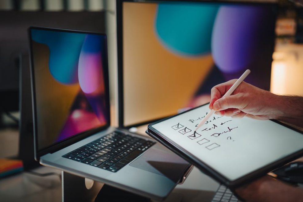 Developer checks protections for a web application
